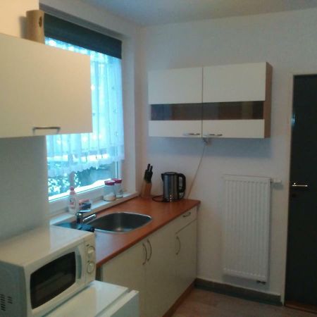 Na Polesi Apartment Žlutice Exterior foto